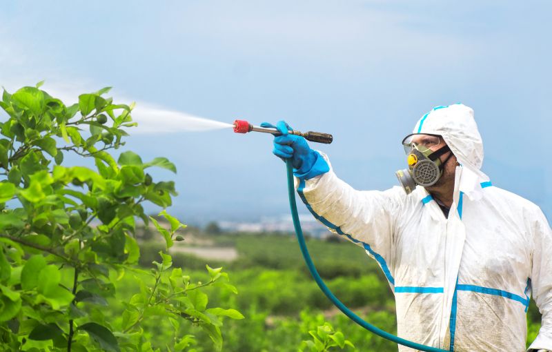 Rat Fumigation Service in Fort Myers, FL