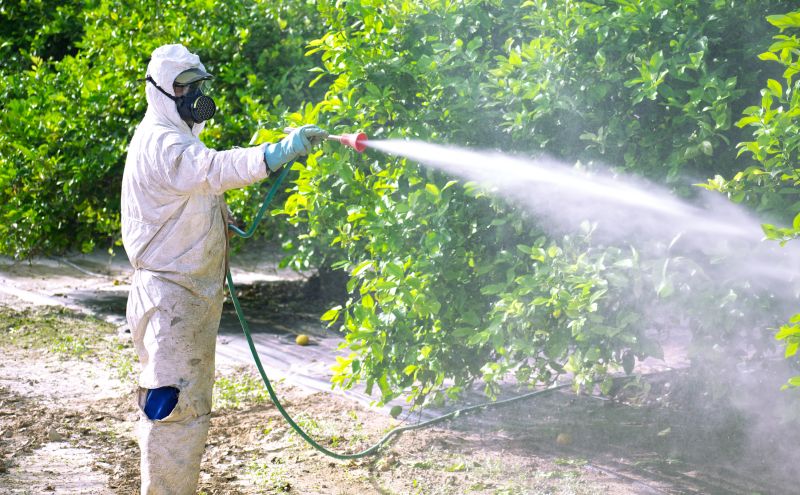 Residential Fumigation in Fredericksburg, VA
